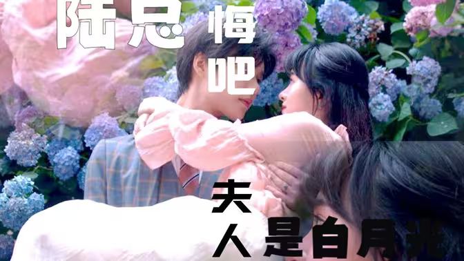 陸總懺悔吧，夫人才是白月光(全集)