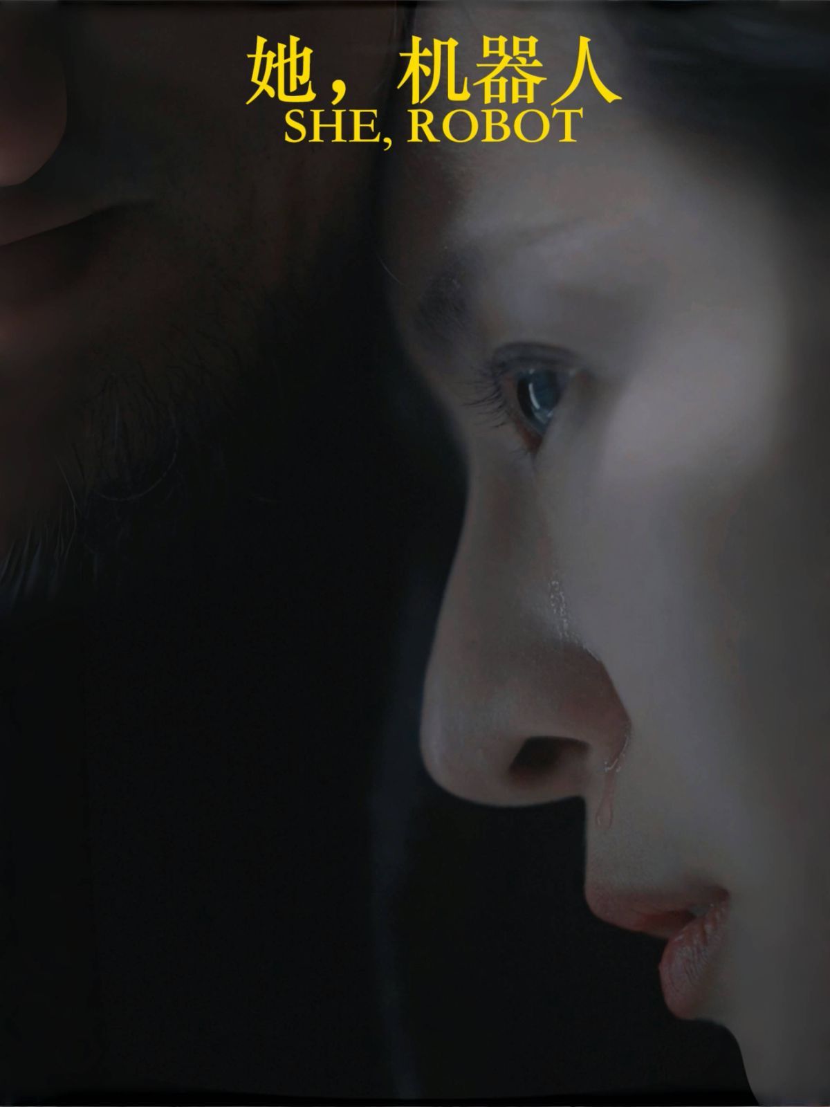 她，機器人（她機器人）(全集)