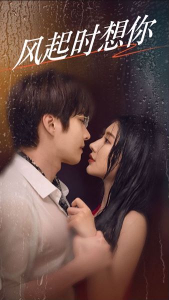 風(fēng)起時想你(全集)