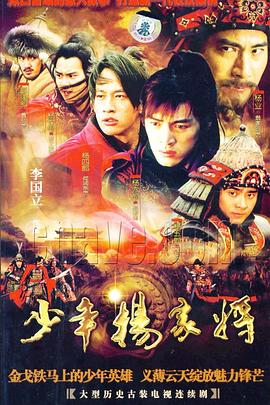 少年楊家將第11集