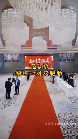 下山后，錯撩一對雙胞胎(全集)