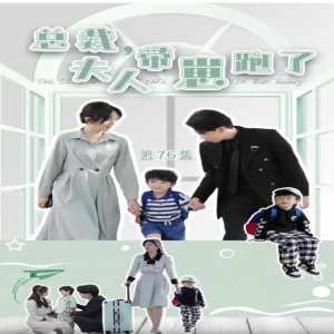總裁，夫人帶崽跑了(全集)