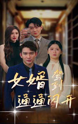 女婿駕到，通通閃開(全集)