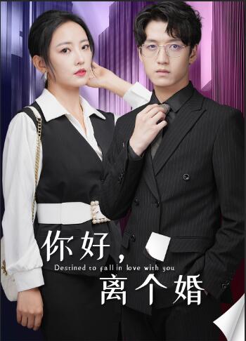 你好，離個(gè)婚(全集)