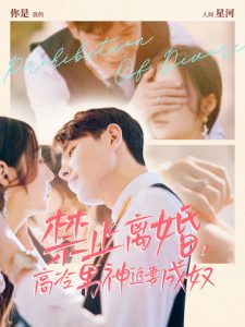 禁止離婚，高冷男神追妻成奴(全集)