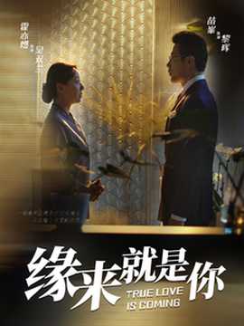 緣來就是你64集(全集)