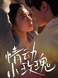 情動(dòng)小玫瑰(全集)