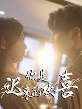 你是遲來的歡喜78集(全集)