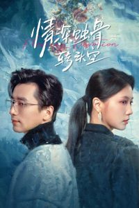 情深蝕骨轉頭空(全集)