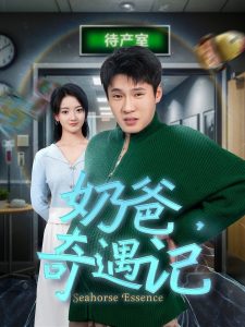 奶爸奇遇記(全集)