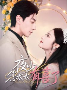 夜少，您太太有喜了(全集)