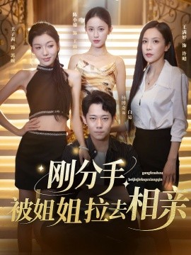 剛分手，被姐姐拉去相親(全集)