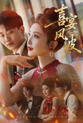 喜宴風(fēng)波&替罪伴娘(全集)