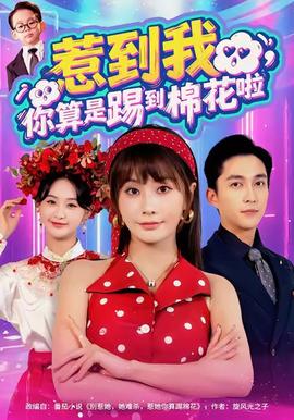 惹到我，你算是踢到棉花啦(全集)