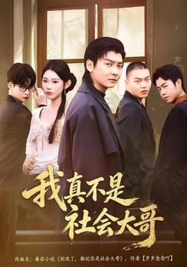 我真不是社會(huì)大哥(全集)