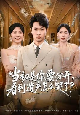當初是你要分開，看到遺產(chǎn)怎么哭了？(全集)
