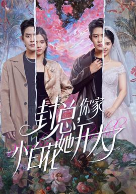 封總，你家小白花她開大了(全集)