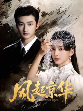風(fēng)起京華(全集)