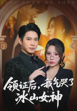 領(lǐng)證后，我氣哭了冰山女神(全集)