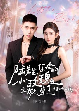 陸先生，你撿的小玫瑰又掀桌了之荊棘玫瑰(全集)