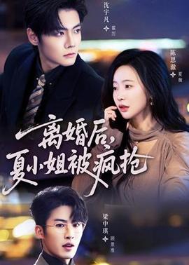 離婚后，夏小姐被瘋搶(全集)